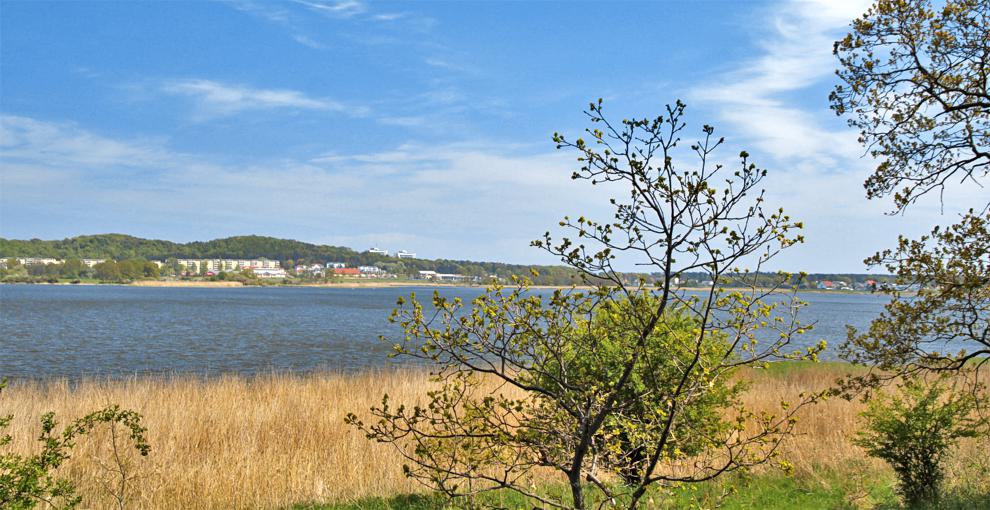 Selliner See